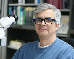 Priv. Doz. Dr. med. Stefan Kröber Bild folgt